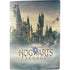 Wizarding World Hogwarts Legacy Main Poster PS5 Digital Edition Console Skin